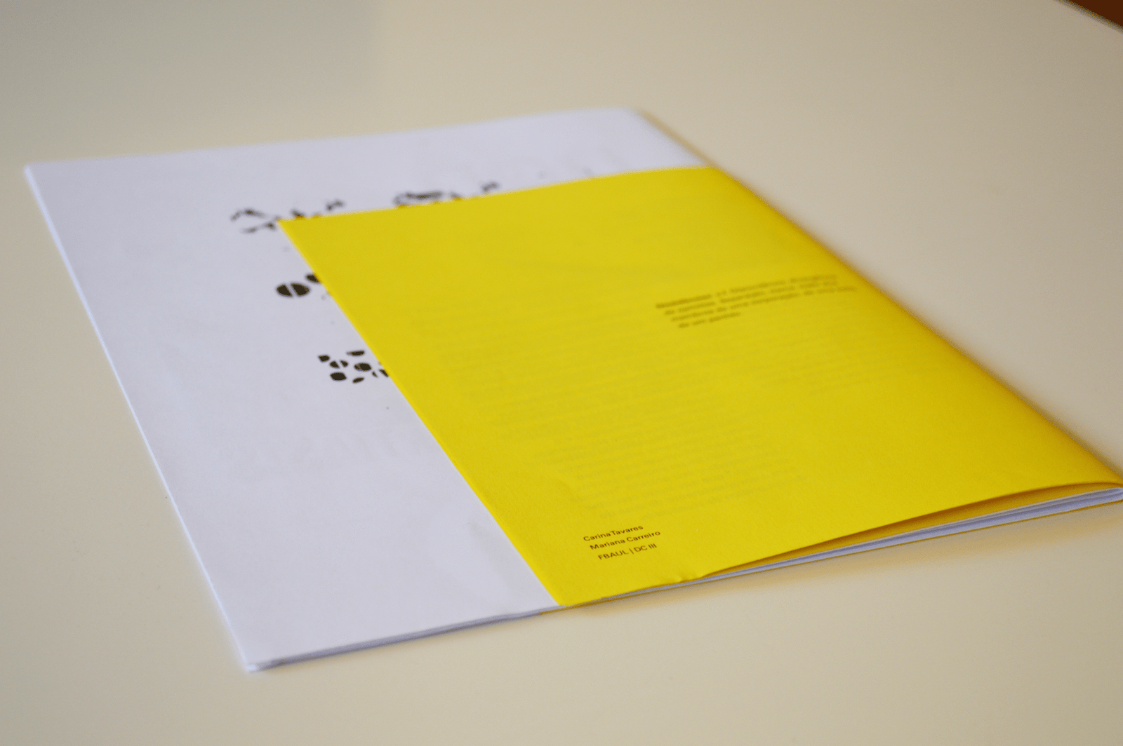 Dissidências publication spread 4
