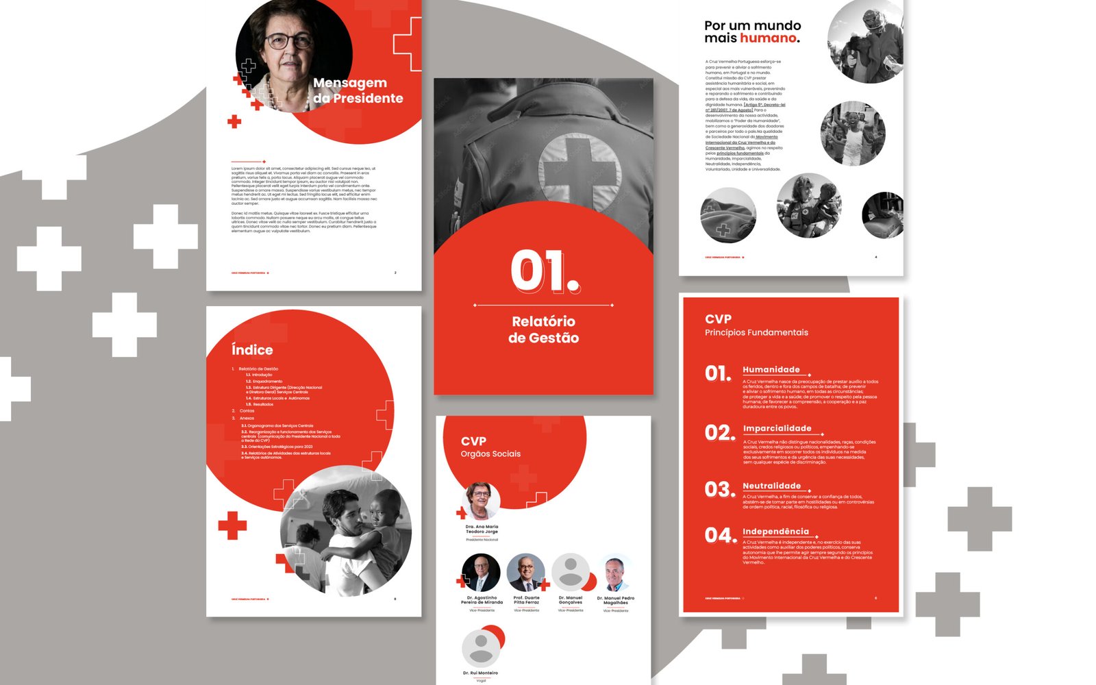 Red Cross Portugal report 1